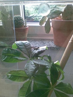 Bild004.jpg