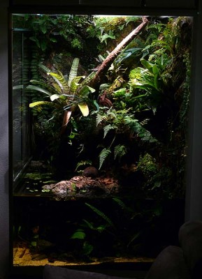 Terrarium 2009.jpg