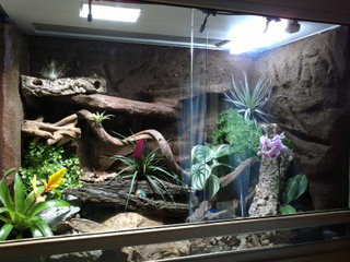 07052012216.jpg