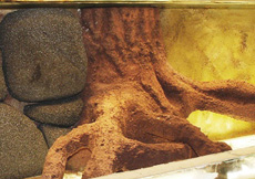 Felswand aus Foamglas und künstlicher Baum beschichtet mit Lastogum